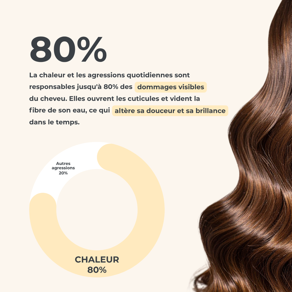 Spray thermo-protecteur